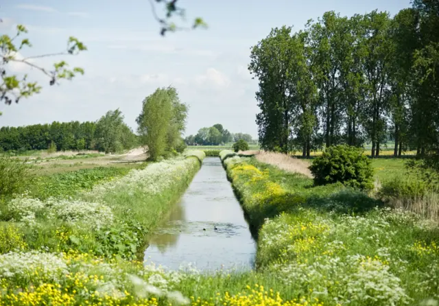 Schermafbeelding 2025-04-10 155122.png