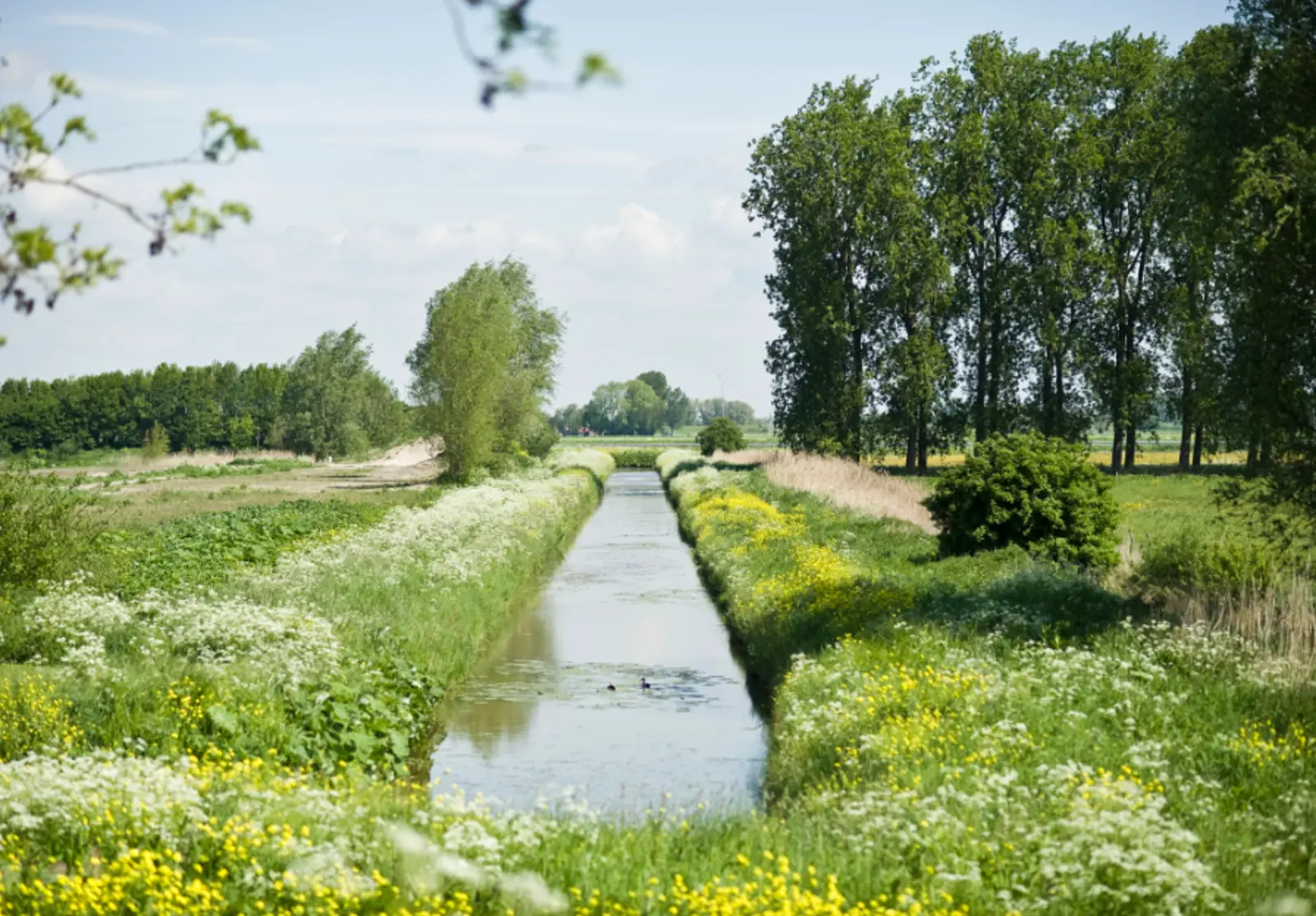 Schermafbeelding 2025-04-10 155122.png