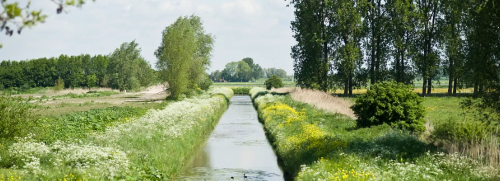 Schermafbeelding 2025-04-10 155122.png