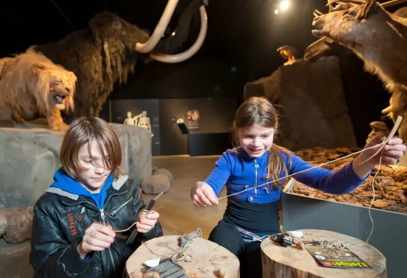 Natuurmuseum Brabant.png