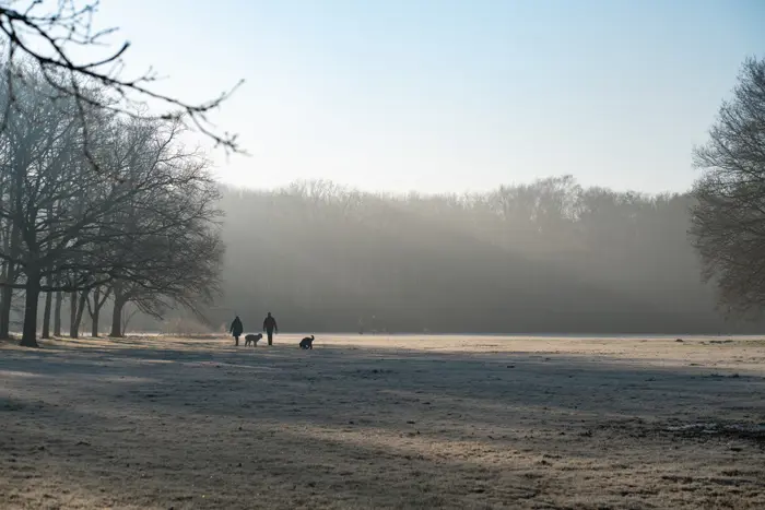 wandelen in de winter.jpg