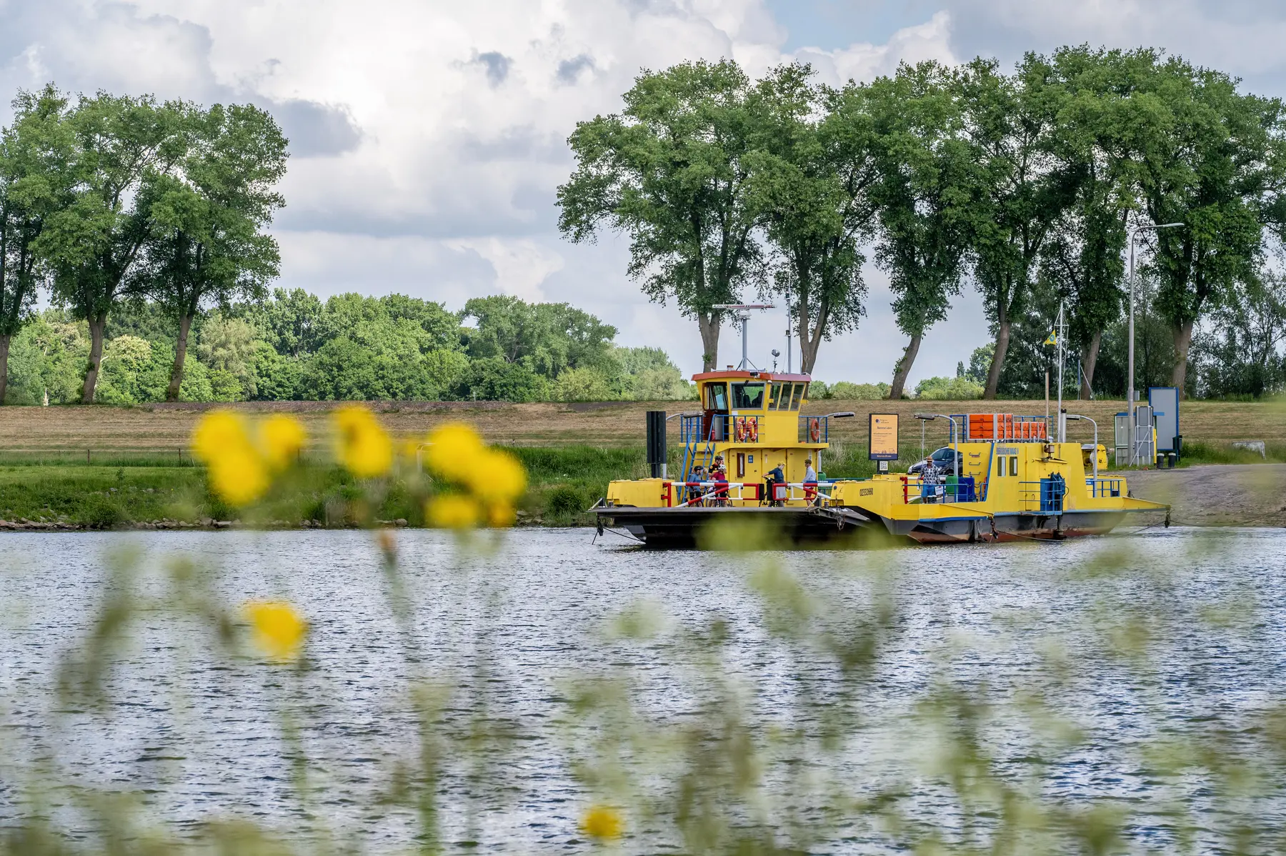 Pontjesdagen 2025 -  17-5-2025 - Raphael Drent - 001rd_herpt_pontjesdagen.jpg
