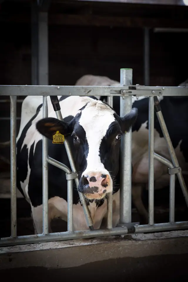Boerderijterras de Ritskampen