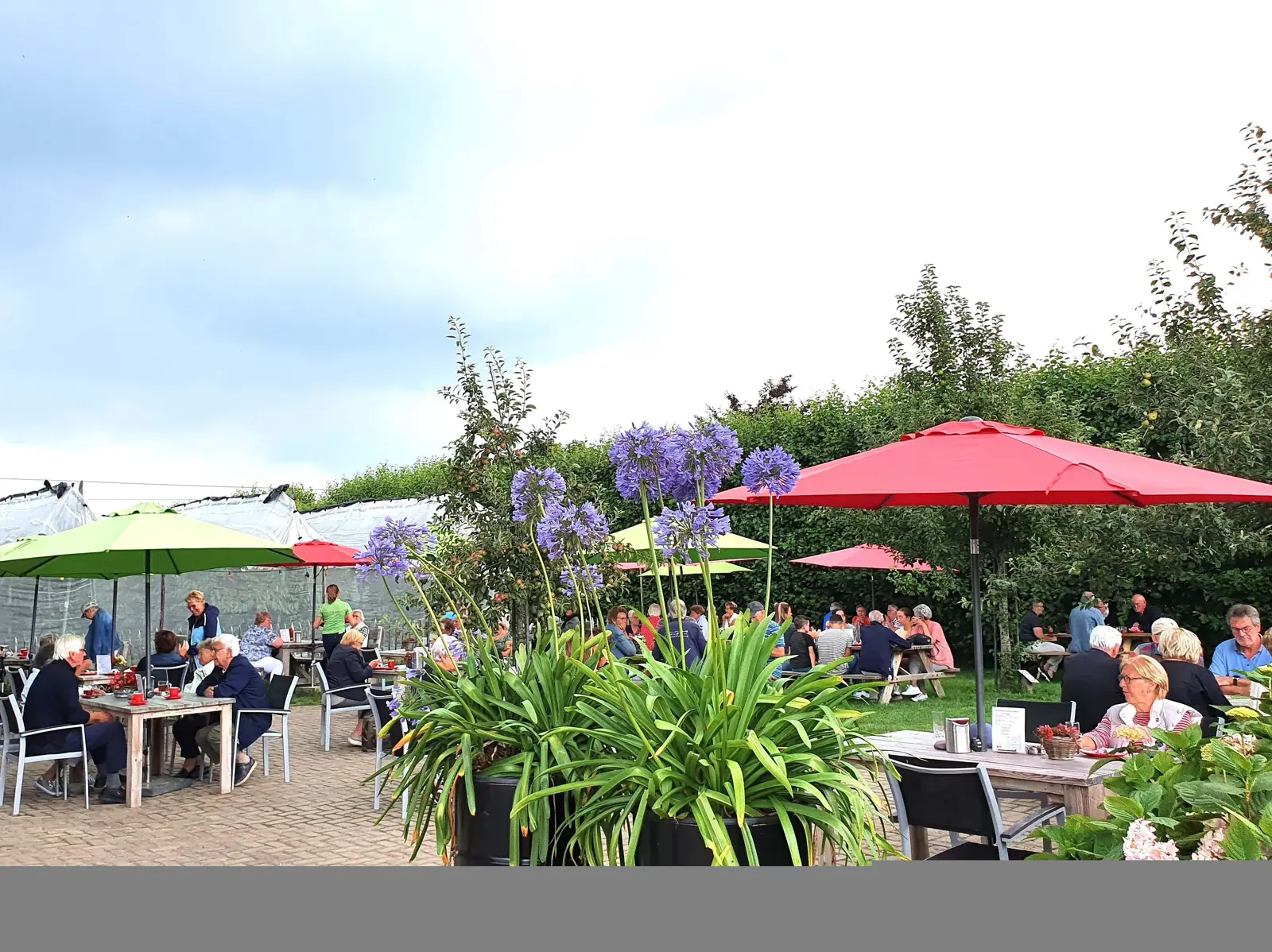 Terras Kersenhof_verkleind.jpg
