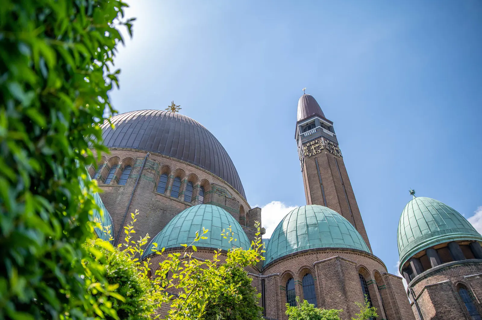 51263533028_81a1ae2622_h.jpg (1)