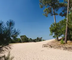 De Loonse en Drunense Duinen