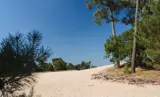 De Loonse en Drunense Duinen