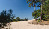 De Loonse en Drunense Duinen