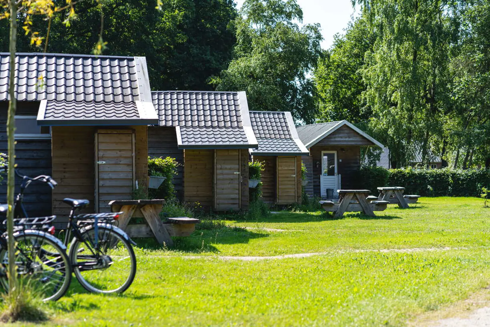 natuurpoort van loon.jfif