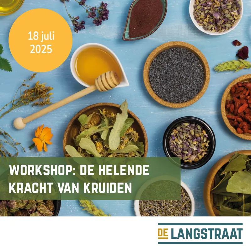 20250714 workshop kruiden.jpg