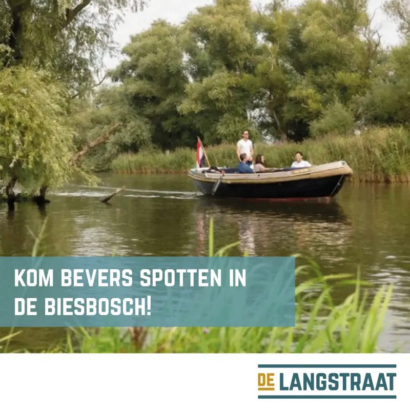 20250616_bevers_spotten.jpg
