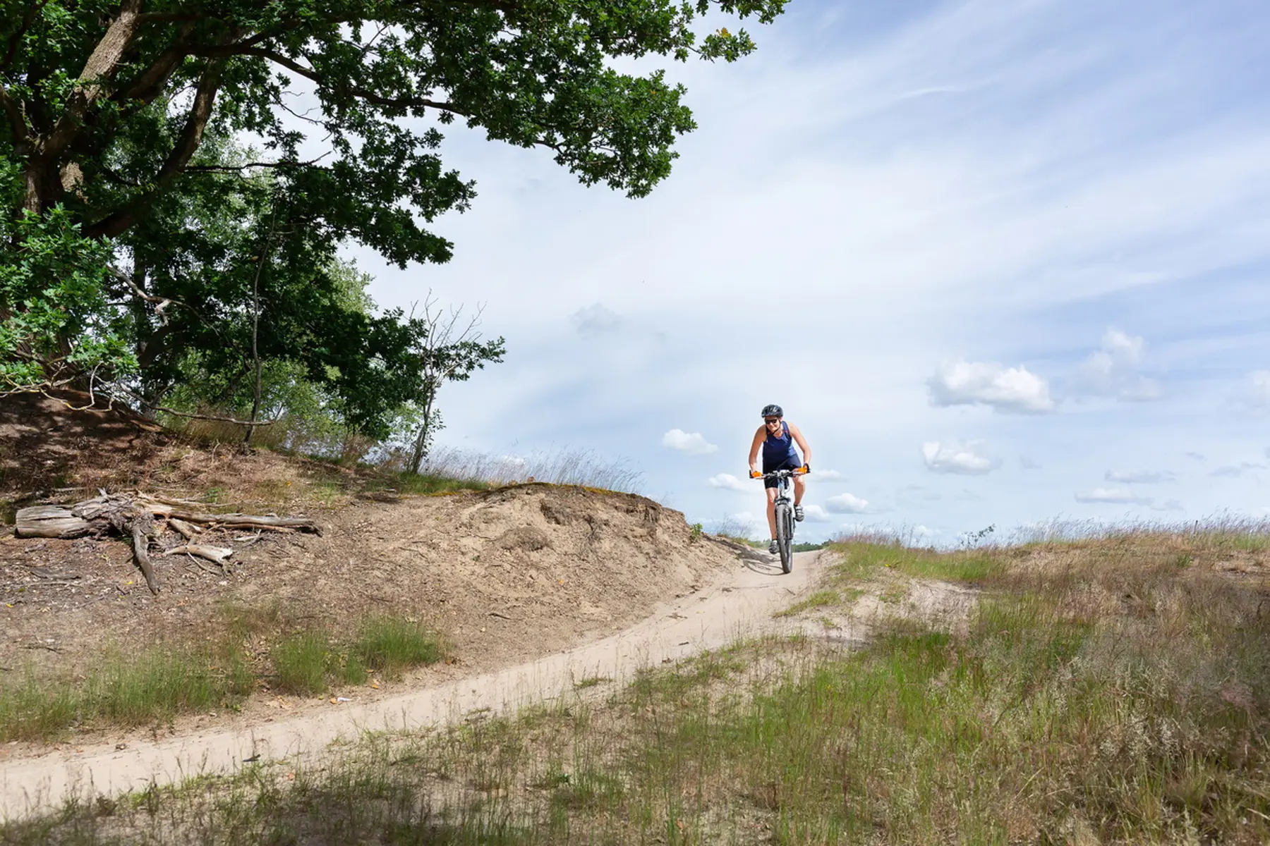 Rondleidingen