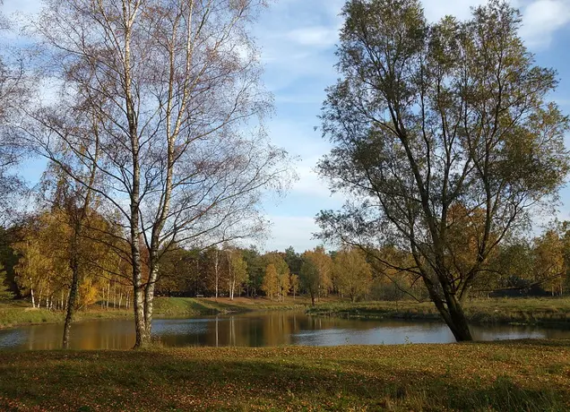 Pag. 20 Route 03 Boswachterij Dorst.jpg