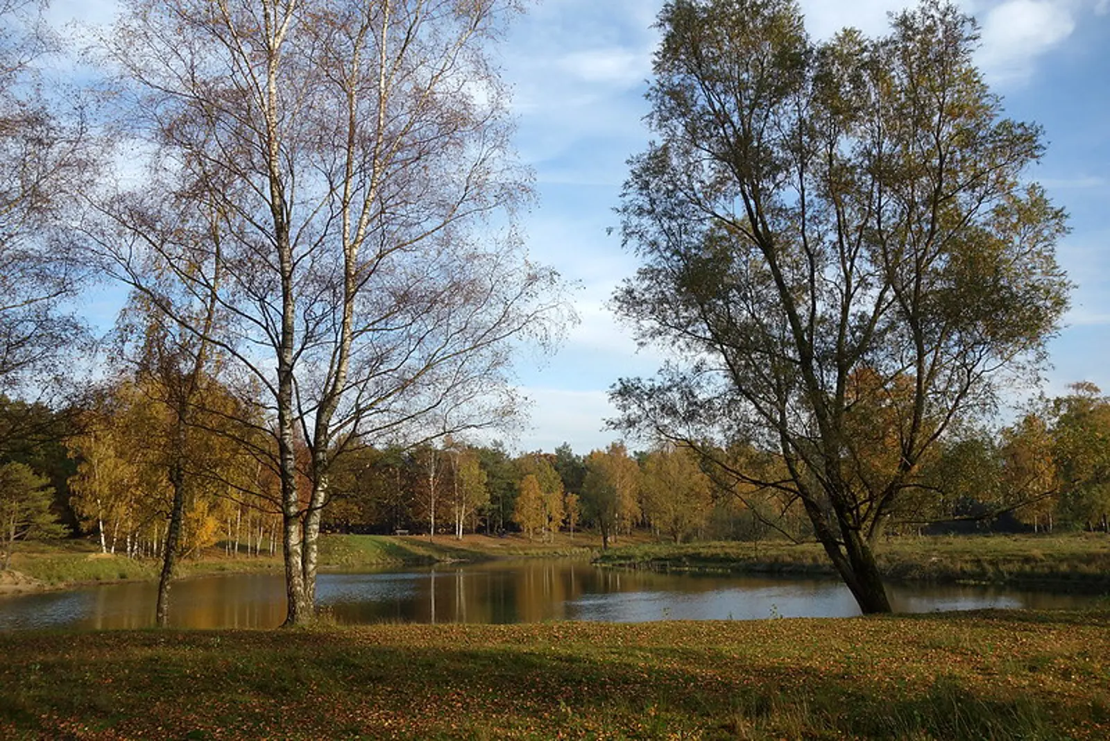 Pag. 20 Route 03 Boswachterij Dorst.jpg