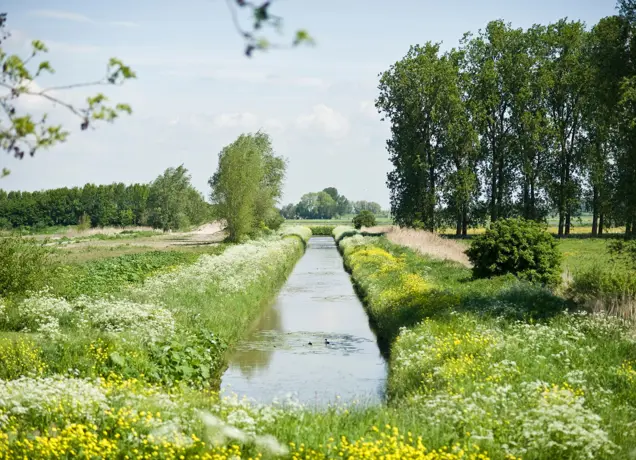 sprang-capelle-natuurgebied-langstraat.jpeg