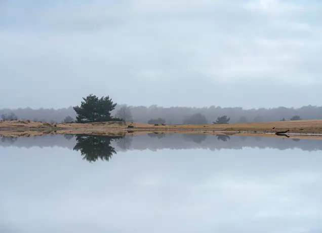 Loonse en Drunense Duinen 2