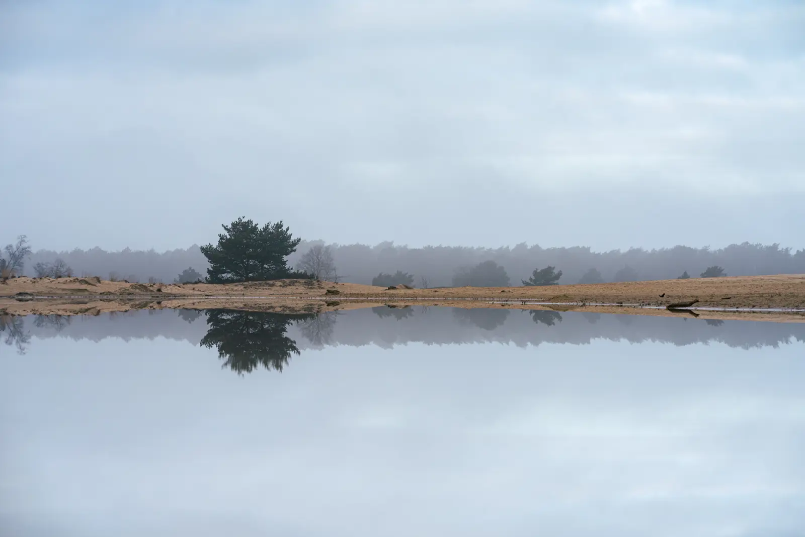 Loonse en Drunense Duinen 2