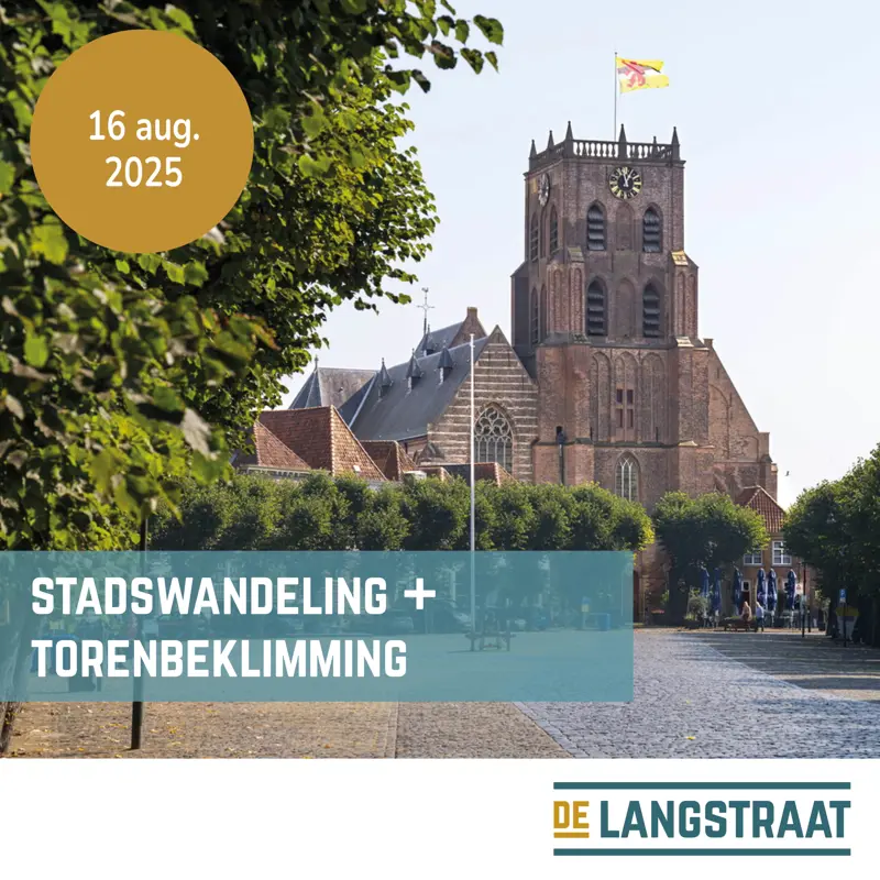20250714 stadswandeling en torenbeklimming.jpg