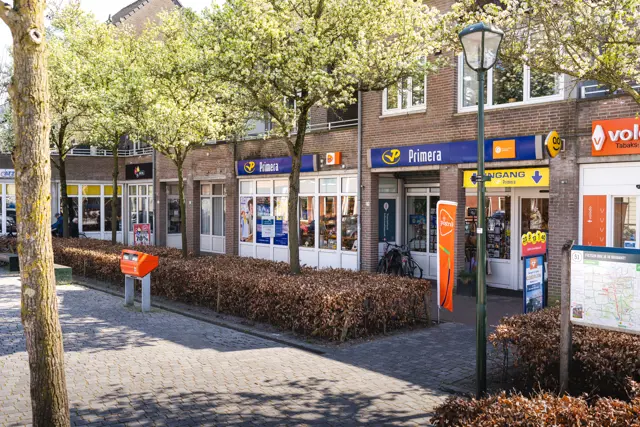 TIP Kaatsheuvel Primera 1 (1)