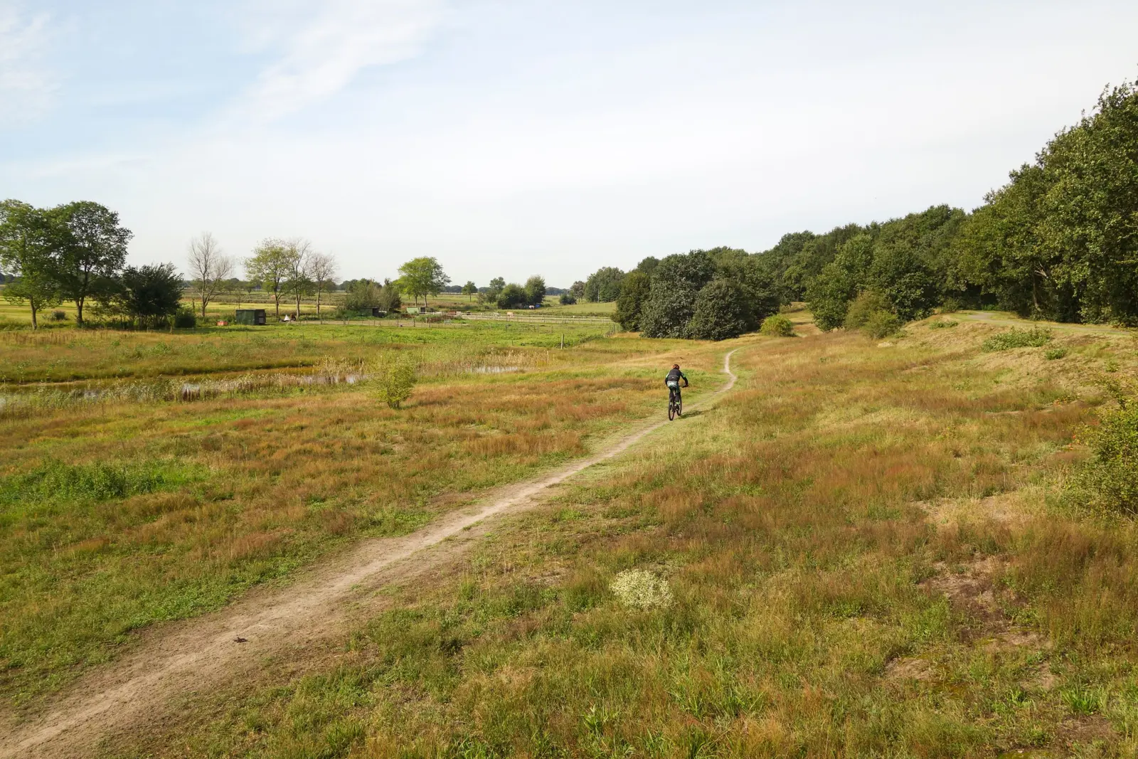 Vlijmens-Ven-Heidijk.jpg