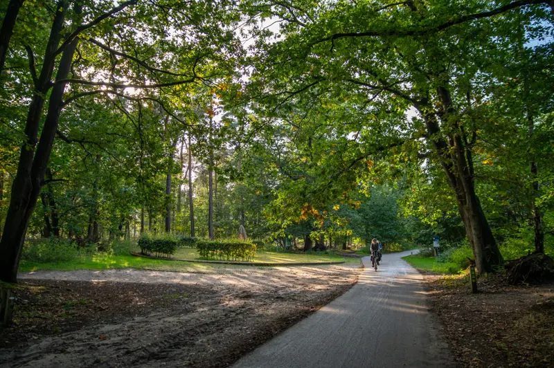loonse en drunense duinen fietsen.jpg