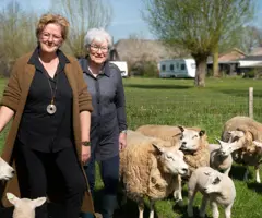 hoeve-de-mertel-1659802451_3916956906.jpeg