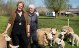Hoeve de Mertel