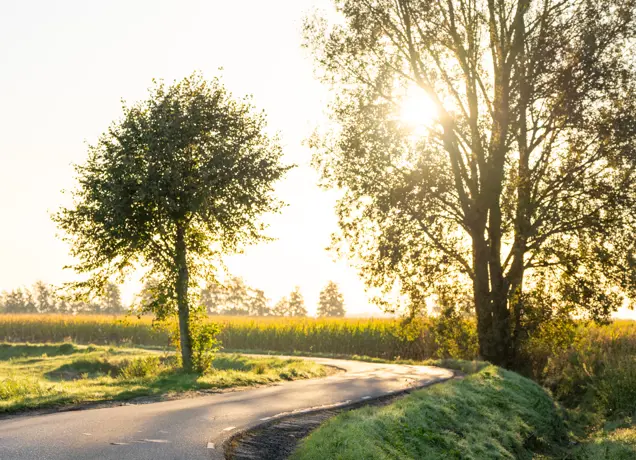 Odergaande zon, Raamsdonk 2