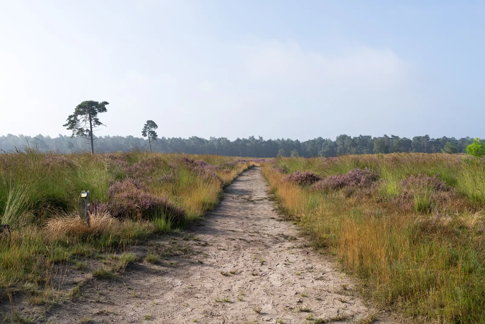 Wandelen in de natuur 2.jpg