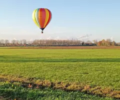 roza ballonvaarten 4.png