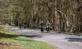Fietsen in de natuur