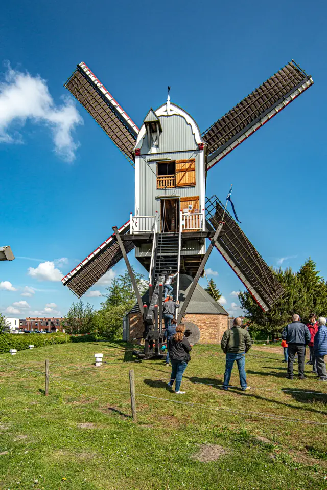 Molen Dye Sprancke 4