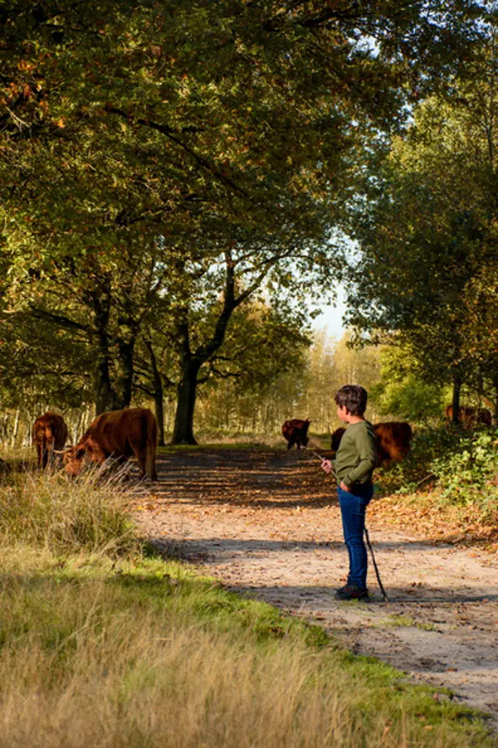 wandelen bij huis ter heide.jpg