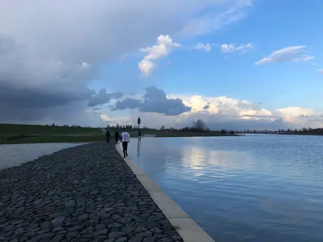 Waterlandschap 2