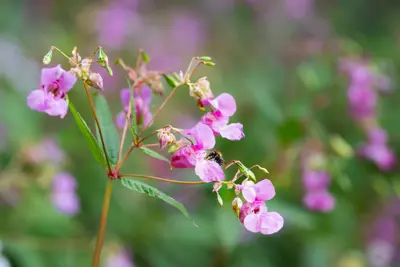 Header blog pluktuin.jpg