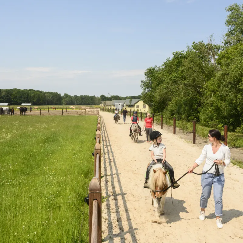 De Smulhoeve 1
