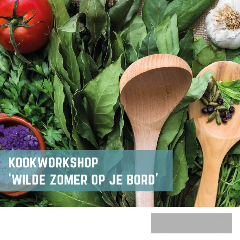 20250703 kookworkshop.jpg