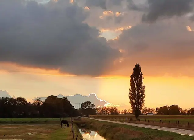 Pag32 weiland zonsondergang.jpg