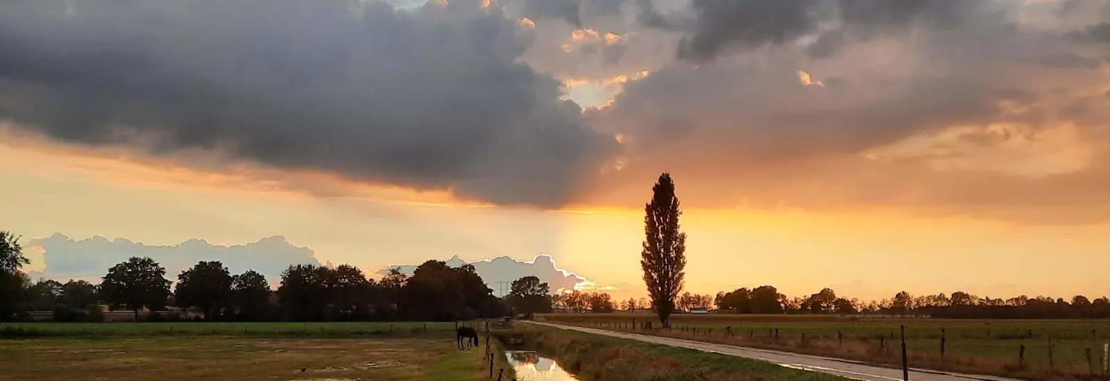 Pag32 weiland zonsondergang.jpg