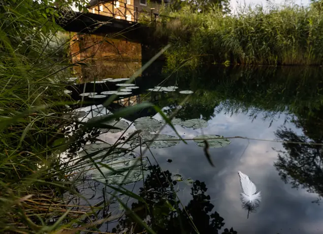 Roversbende van de Witte Veer.JPG