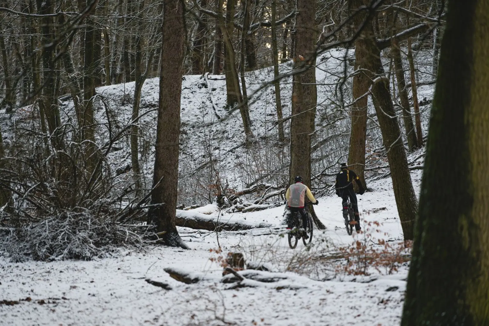 fietsen in de winter omgedraaid.jpg