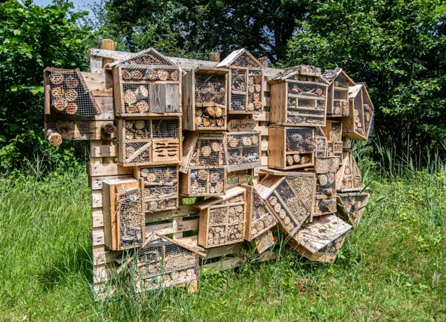 Baardwijkse Overlaat bij Drunen