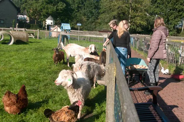 Kinderboerderij De Kromme Akker.jpg