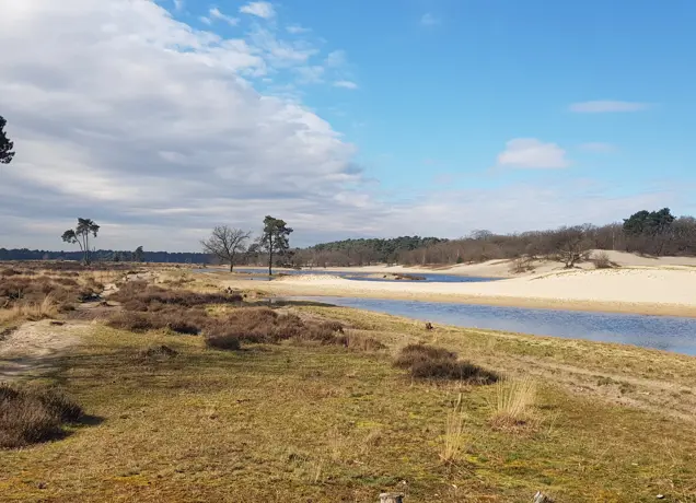 Pag.07 Foto LoZ Loonse en Drunense duinen.jpg