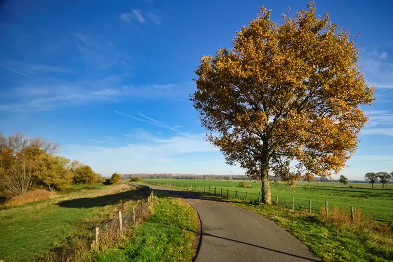 foto 5_Blog Hans Janssen.jpg