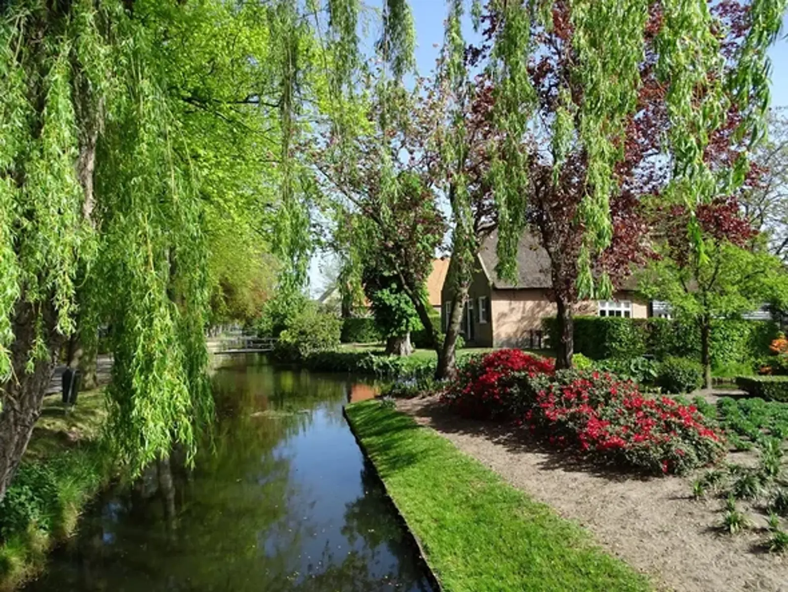 Pag.16 Dongen_Rivier_foto_'s-Gravenmoer.webp