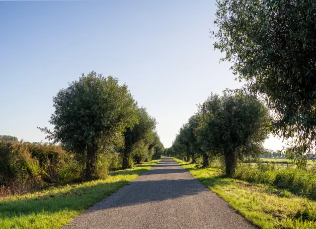 Landschap Raamsdonk 2