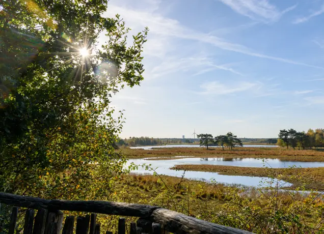 Natuurgebied Huis ter Heide in De Moer