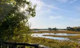Natuurgebied Huis ter Heide in De Moer