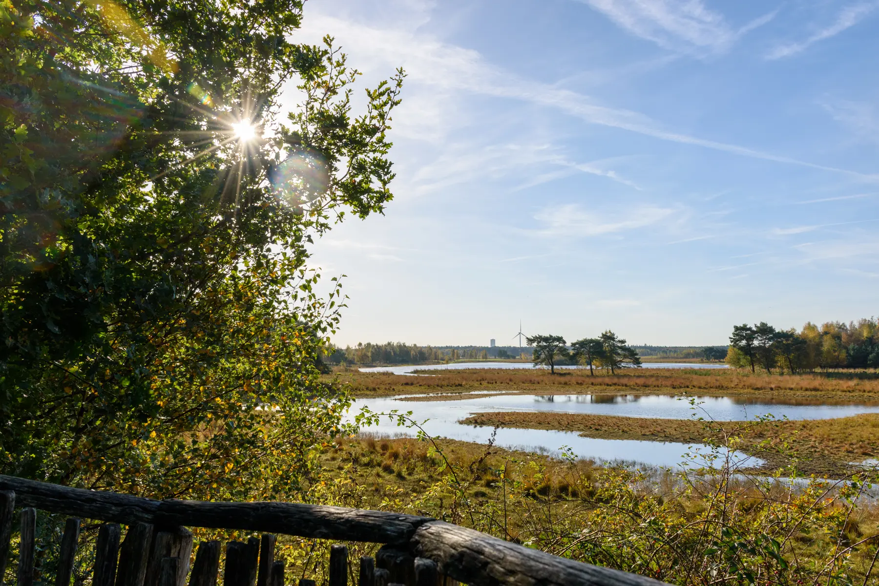 Natuurgebied Huis ter Heide in De Moer
